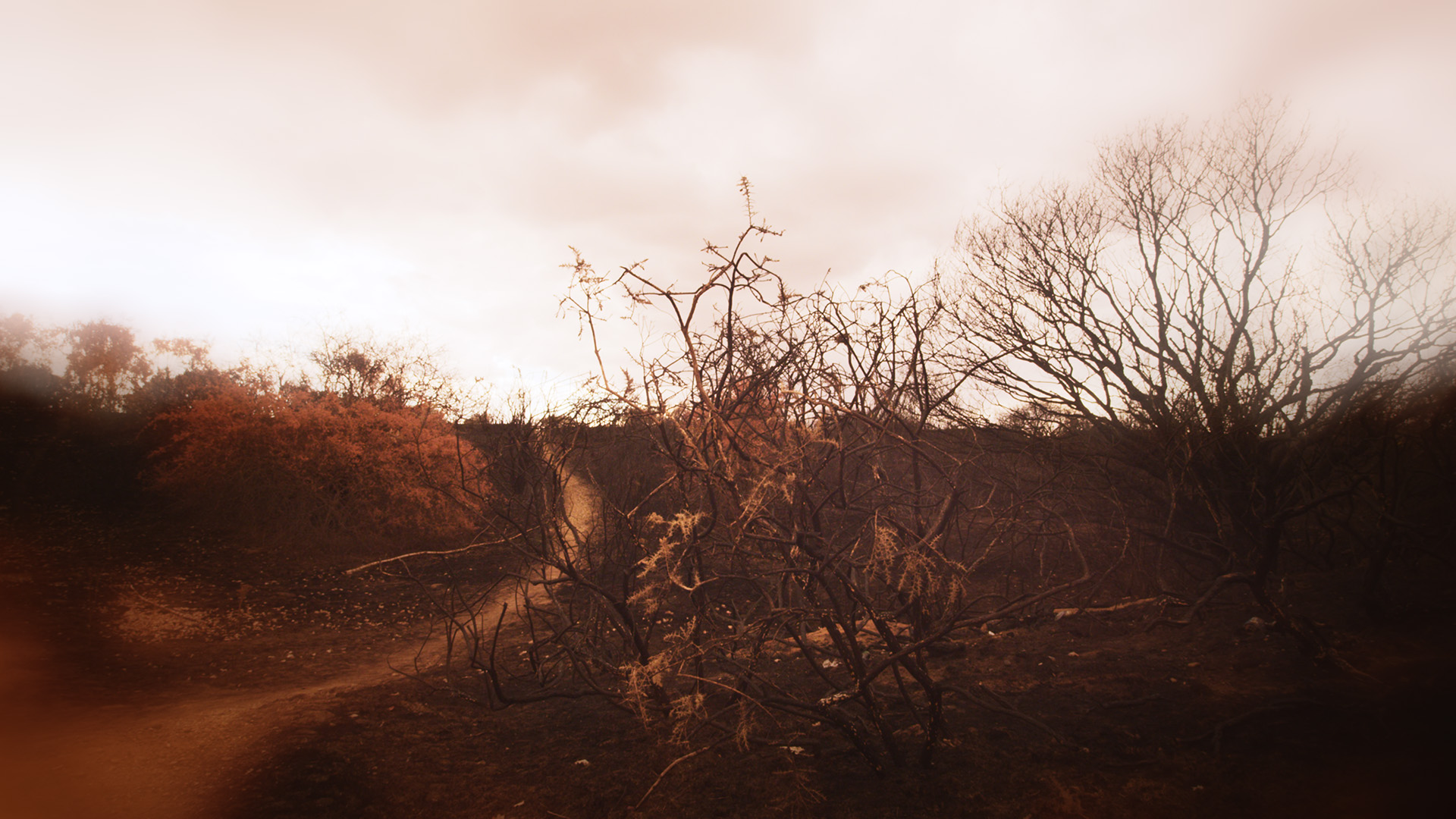 Luxs Creative Production